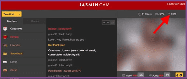 Zahlungsbedingungen, Preise und Prozentsätze Web-Modelle LiveJasmin